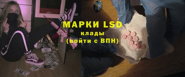 индика Алзамай
