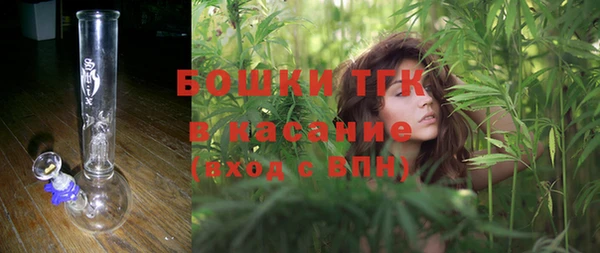 ПСИЛОЦИБИНОВЫЕ ГРИБЫ Алексеевка