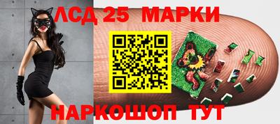 соль ск Пугачёв