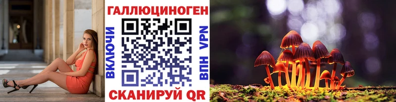 Псилоцибиновые грибы Psilocybine cubensis  Лобня 