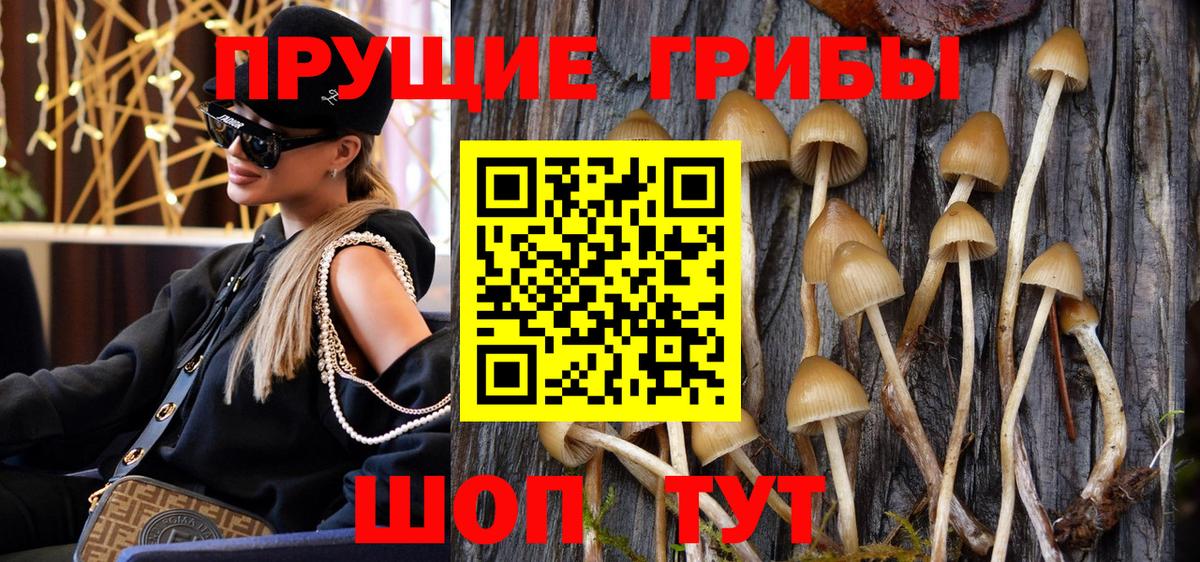 Галлюциногенные грибы Cubensis Лобня